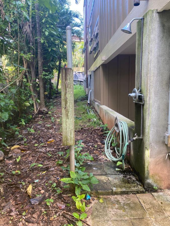 Beach Studio By Shark'S Cove Haleiwa Bagian luar foto