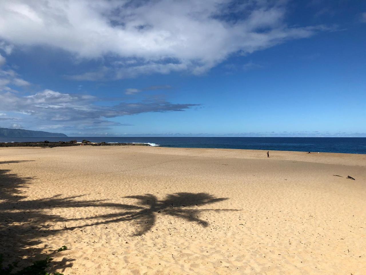 Beach Studio By Shark'S Cove Haleiwa Bagian luar foto